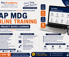 MDG Consultant: Your Roadmap to Mastering SAP MDG in United States