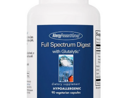 Best Gut Health Supplements for Daily Digestive Wellness