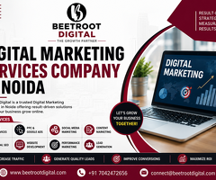 Digital Marketing Services Company in Noida | Beetroot Digital