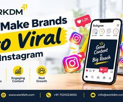 We Make Brands Go Viral on Instagram | WORKDM India