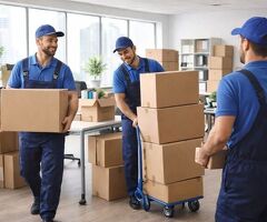 Leo Packers and Movers in Panchkula