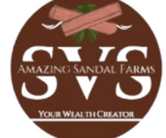 Sustainable Sandalwood Farming Practices at SVS Amazing