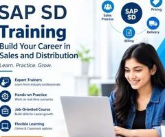 SAP SD Training in Mumbai at Version IT | Real-Time Project Training