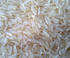 Premium Long Grain Steam Basmati Rice Supplier