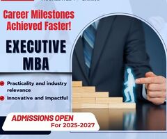 Best Executive MBA Programs for working Professionals in India