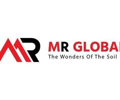 MR Global