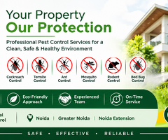 Pest Control Services in Noida - 2
