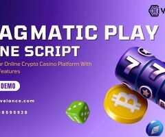 Launch a Branded Casino with White Label Pragmatic Play Clone Software