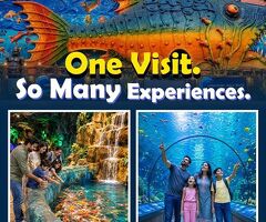 Top Tourist Attractions Near Mysore Palace - 2