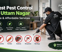 Best Pest Control in Uttam Nagar – Safe & Affordable Services