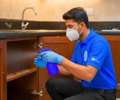 Best Pest Control in Uttam Nagar – Safe & Affordable Services - 2