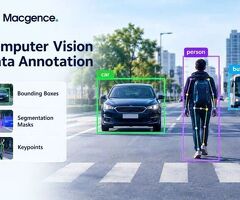 Computer Vision Data Annotation for Accurate Image Recognition