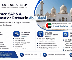 sap business one partners in abudhabi