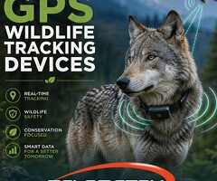 Modern GPS Wildlife Tracking Technology for Animal Monitoring