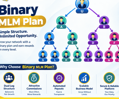 Binary MLM Plan Software for Efficient Network Management