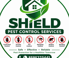 Best Pest Control Services in Noida - 2