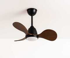 Myna in Designer Ceiling Fan