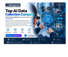 Top AI Data Collection Company for Smarter AI Systems